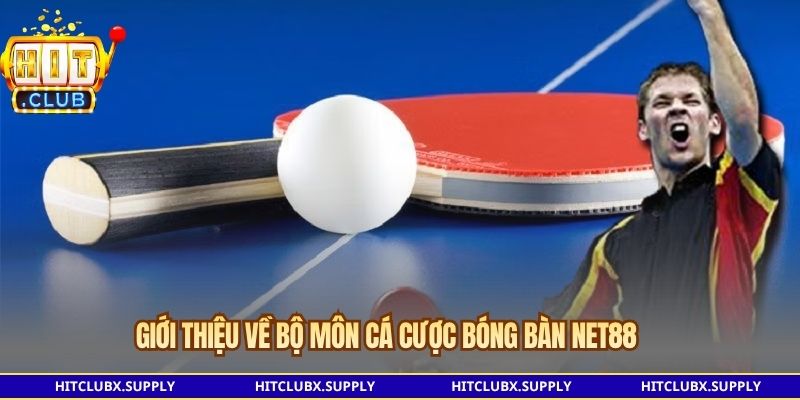 Giới thiệu về bộ môn cá cược bóng bàn NET88