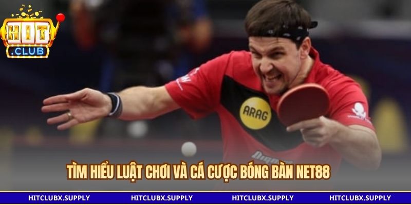 Tìm hiểu luật chơi và cá cược bóng bàn NET88