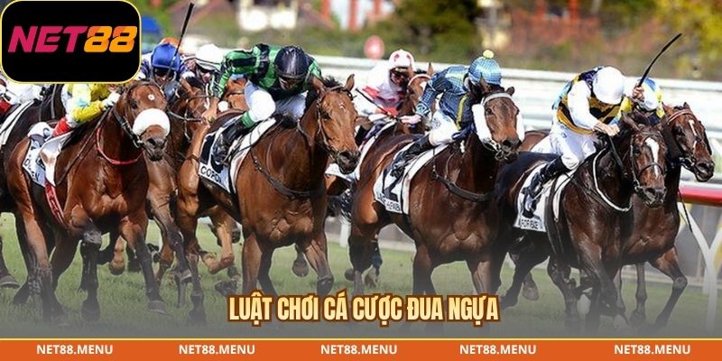 Luật chơi cá cược đua ngựa