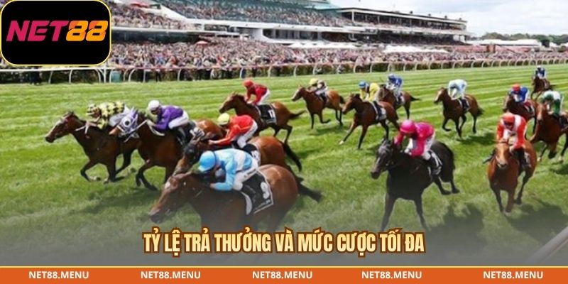 Tỷ lệ trả thưởng và mức cược tối đa