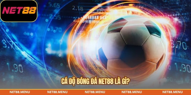 Cá độ bóng đá NET88 là gì?