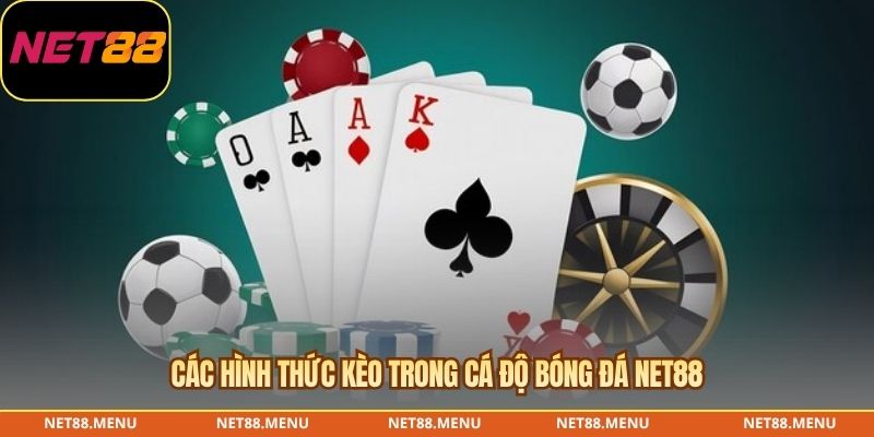 Các hình thức kèo trong cá độ bóng đá NET88