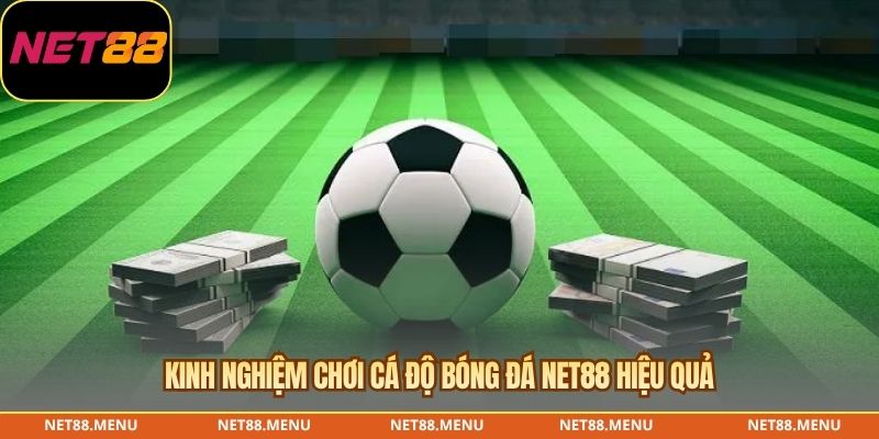 Kinh nghiệm chơi cá độ bóng đá NET88 hiệu quả