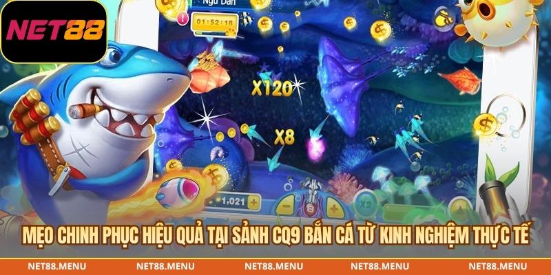 Mẹo chinh phục hiệu quả tại sảnh CQ9 bắn cá từ kinh nghiệm thực tế
